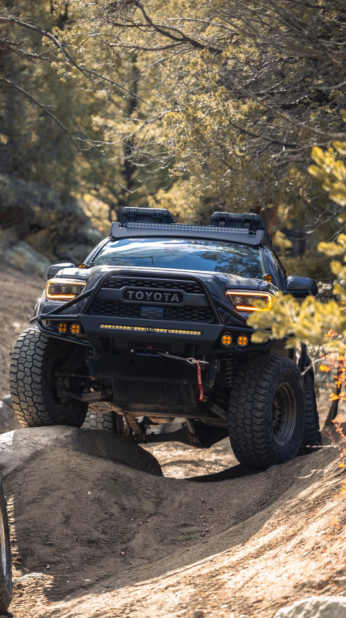 Toyota truck on a dirt trail in a forest