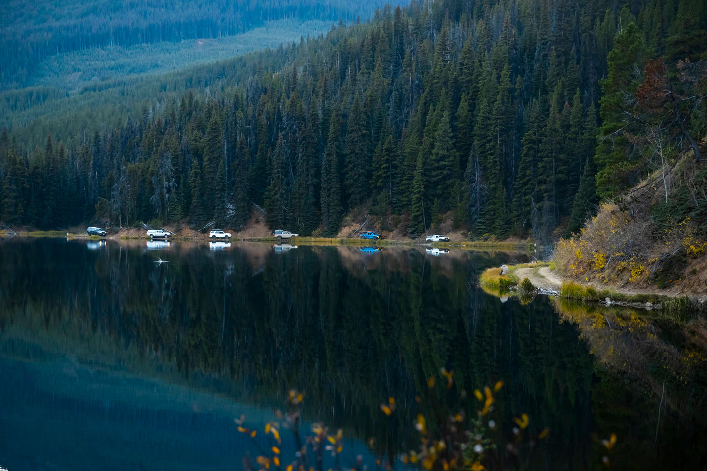 Convoy of off road vehicles driving around a lake surrounded by dense forest with reflections on the water