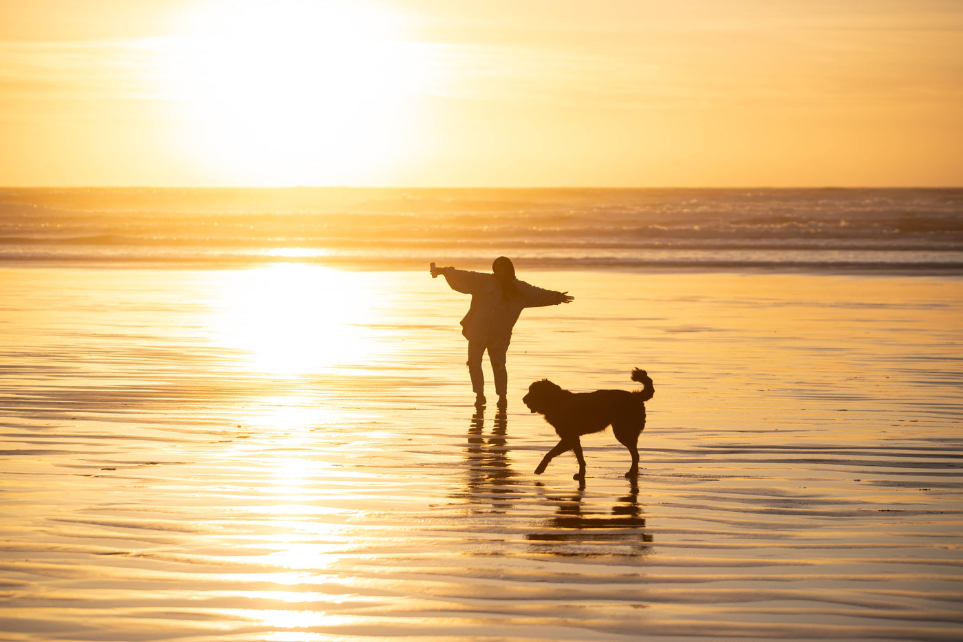 Silhouette of a person and dog walking on a beach at sunset.