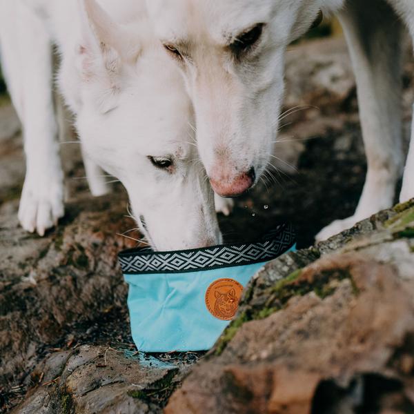 Wilderdog Backpacking Bowl - Canada