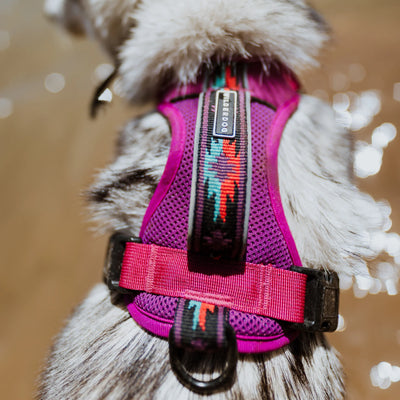 Wilderdog Harness