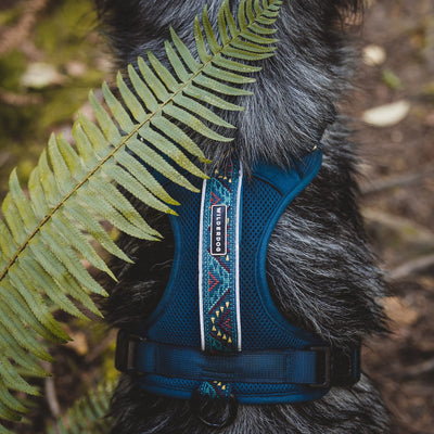 Wilderdog Harness