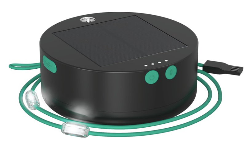 Luci Solar String Lights - Vancouver, BC