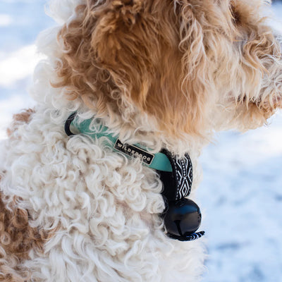 Wilderdog Backcountry Bell