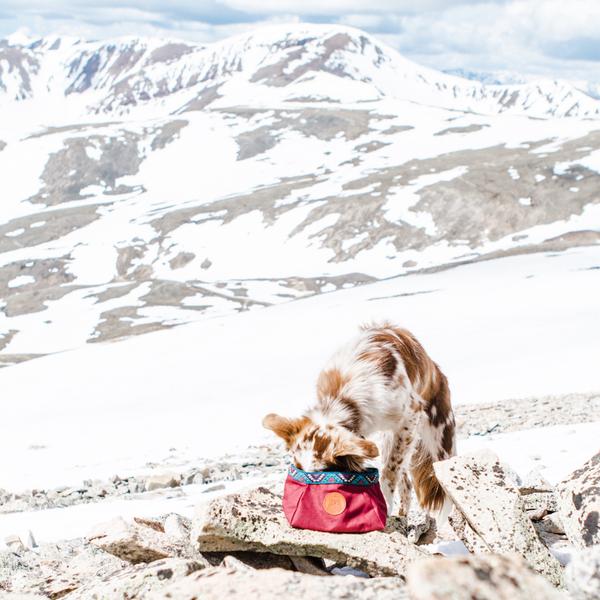 Wilderdog Backpacking Bowl