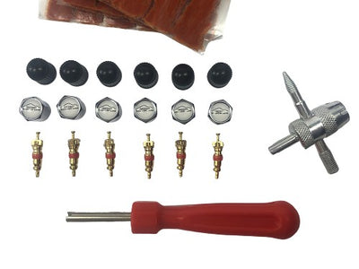 Freedom Recovery Gear Tubeless Tire Repair Kit